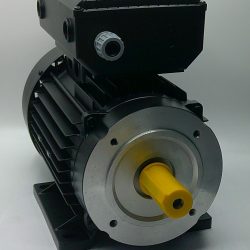 Electric motor 110V