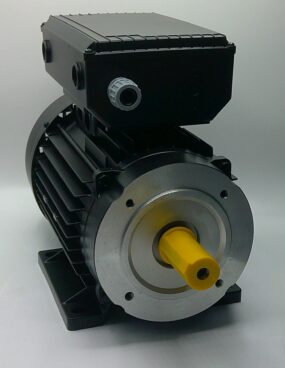 Electric motor 110V