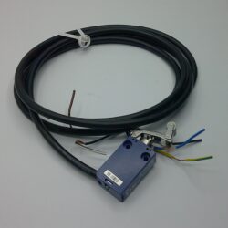 Microswitch