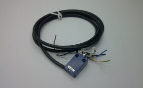 Microswitch