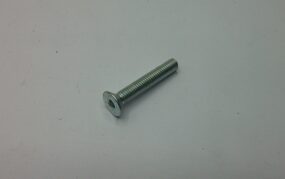 TSPEI PG screw DIN 7991 Cl 10.9 M 5 x 30 Z. white